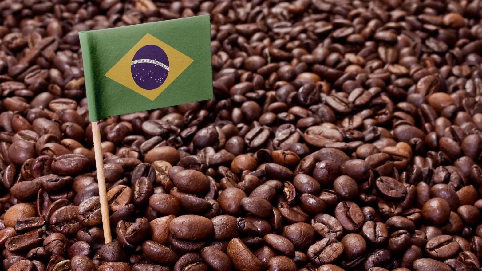 Brazil Import Value and Volume - 1300'S Coffee