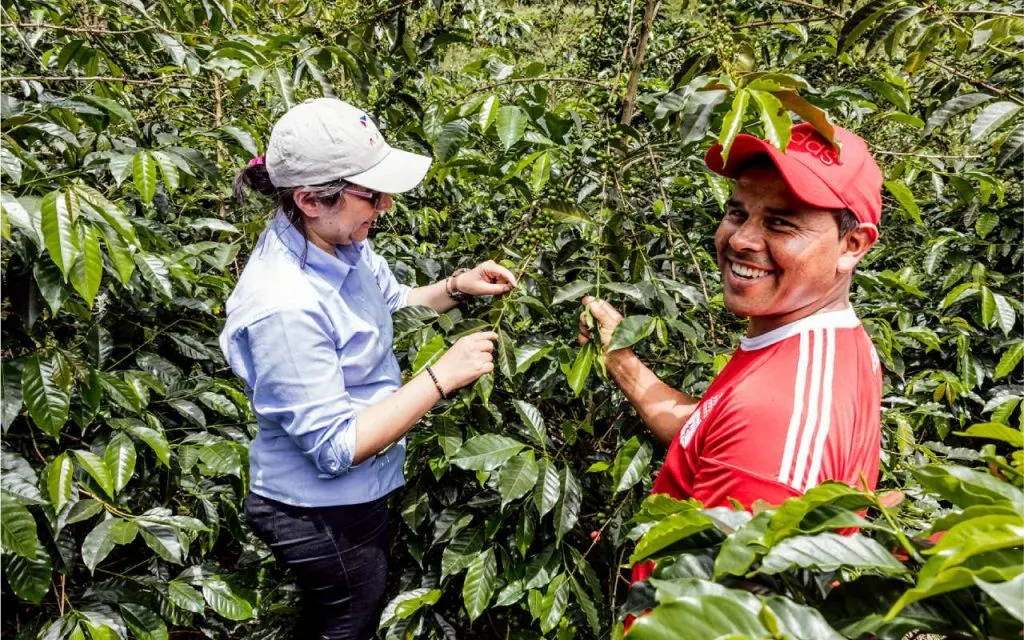 Caravela Coffee - 1300s Coffee