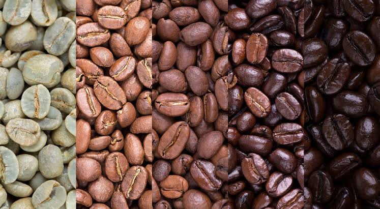 Coffee Roast Level - 1300'S Coffee