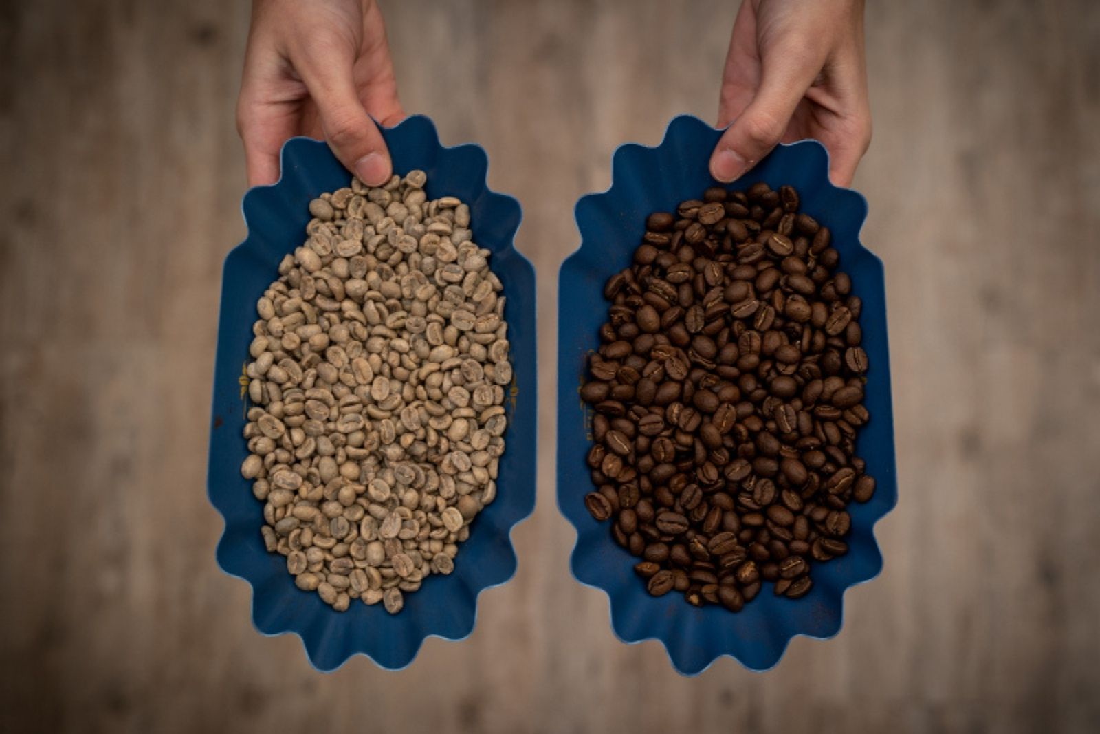 Comparing Raw to Roasted Flavor - 1300'S Coffee