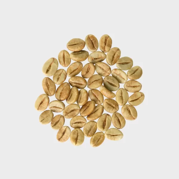 Fermented Natural Robusta (Fine Robusta)