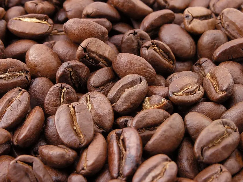 Freshness Considerations for Businesses Buying at Volume - 1300'S Coffee