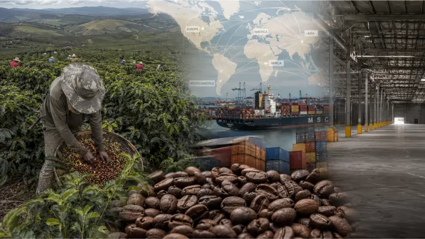Global Coffee Market Worth Size - 1300'S Coffee
