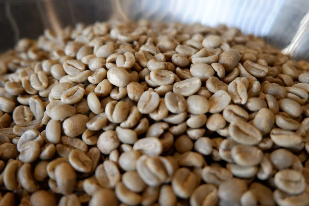 Green Bean Importer - 1300'S Coffee