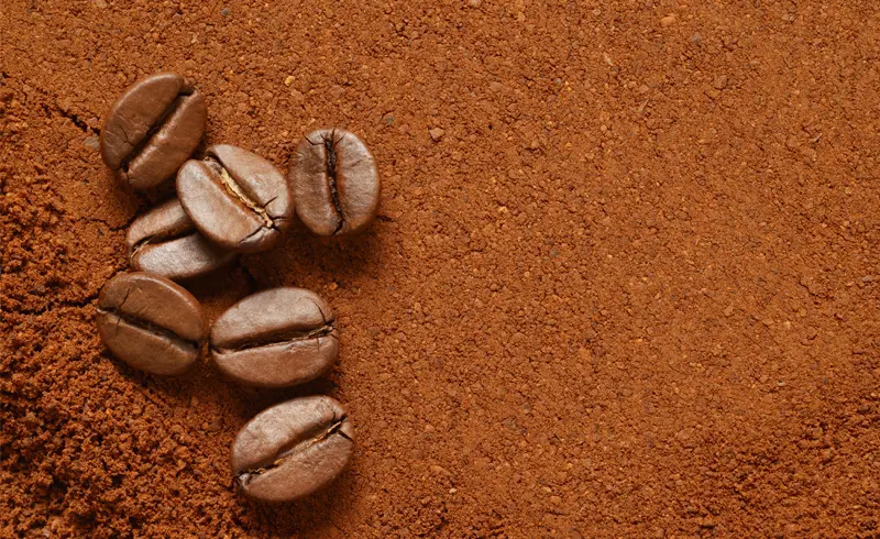Grind Consistency - 1300'S Coffee