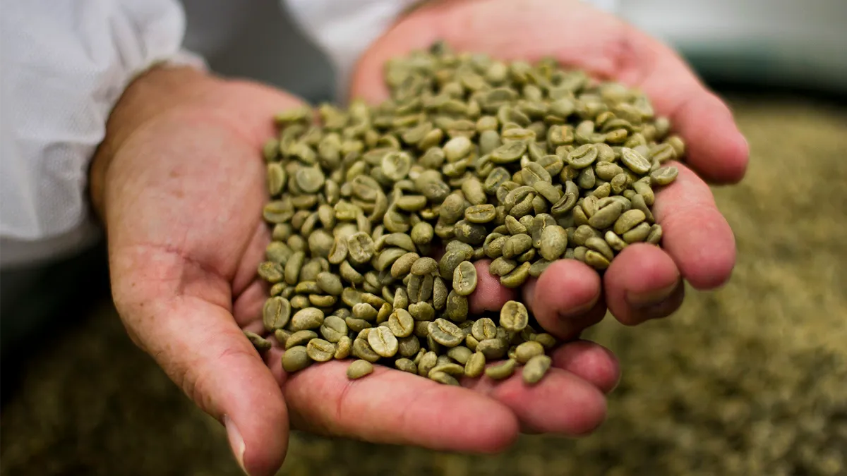 How Green Coffee Quality Shapes Every Roast You Sell - 1300'S Coffee