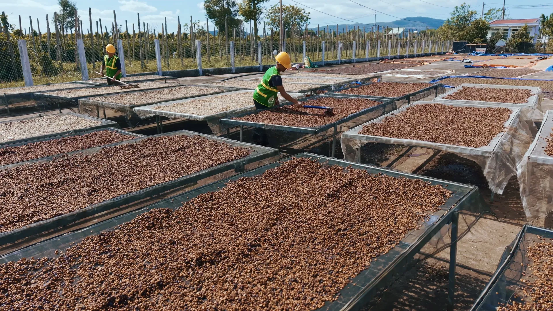How to Evaluate Top Specialty Coffee Roasters Before Importing - 1300'S Coffee