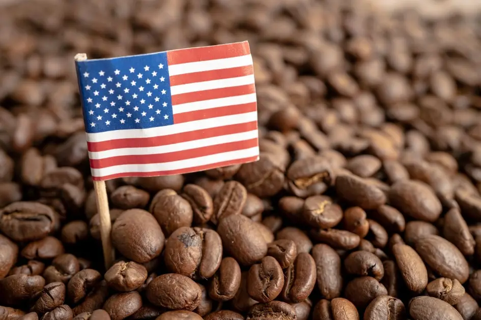 How to Import Coffee to USA - 1300'S Coffee