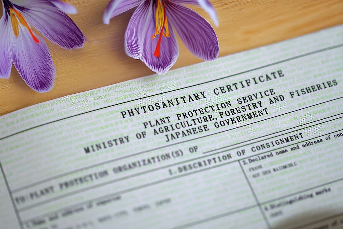 Phytosanitary Certificate - 1300'S Coffee