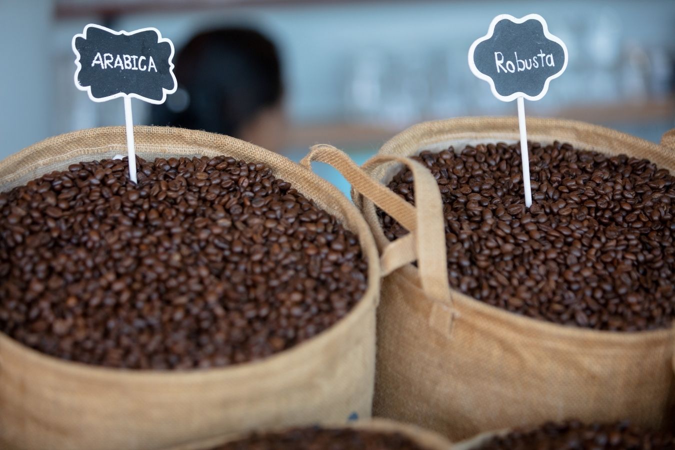 Robusta and Arabica in the Vietnamese - 1300'S Coffee