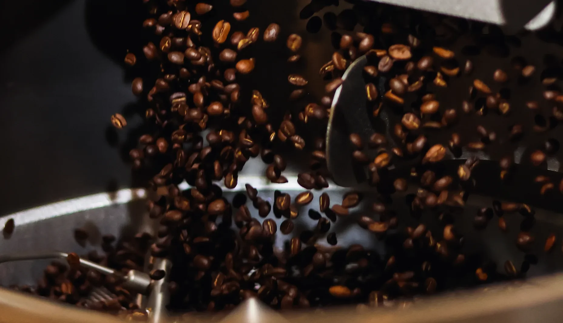 Single Source in Roasted - 1300'S Coffee
