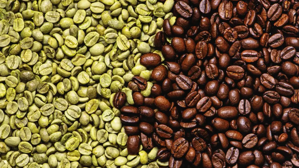 The Difference Between Green Bean and Roasted Storage - 1300'S Coffee