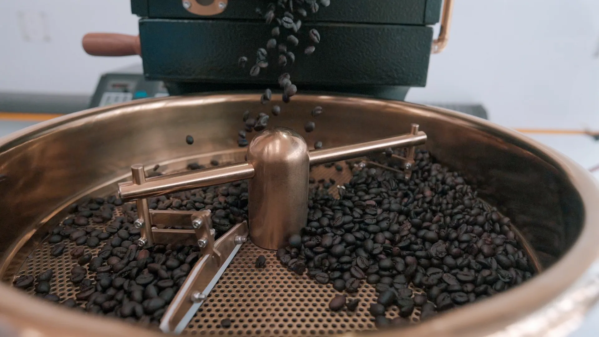 Top 10 Speciality Coffee Suppliers with Export Standard Production