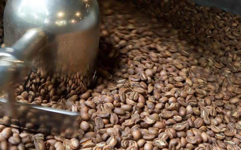 What Is a Specialty Coffee Roaster How It Differs From a Standard Roaster - 1300'S Coffee