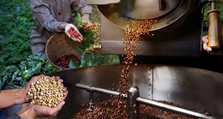 Where to Buy Vietnamese Coffee Wholesale - 1300'S Coffee