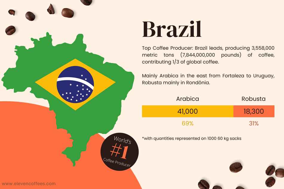 Brazil the World's Largest Coffee Exporter - 1300'S Coffee